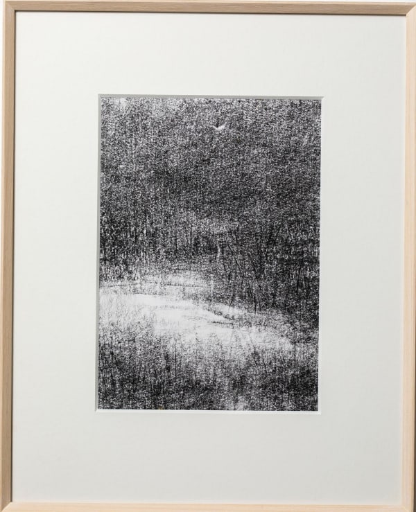 Paramjit Singh, Untitled