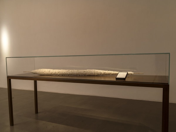 Shilpa Gupta, Untitled