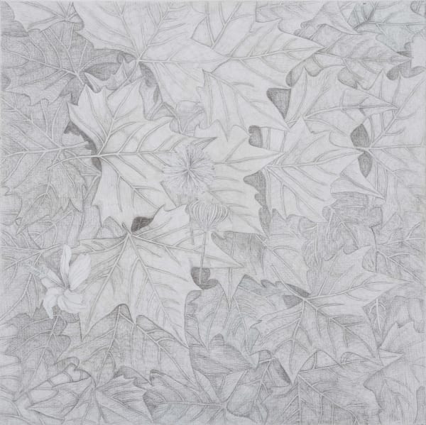 Praneet Soi, Chinar Leaves, 2021
