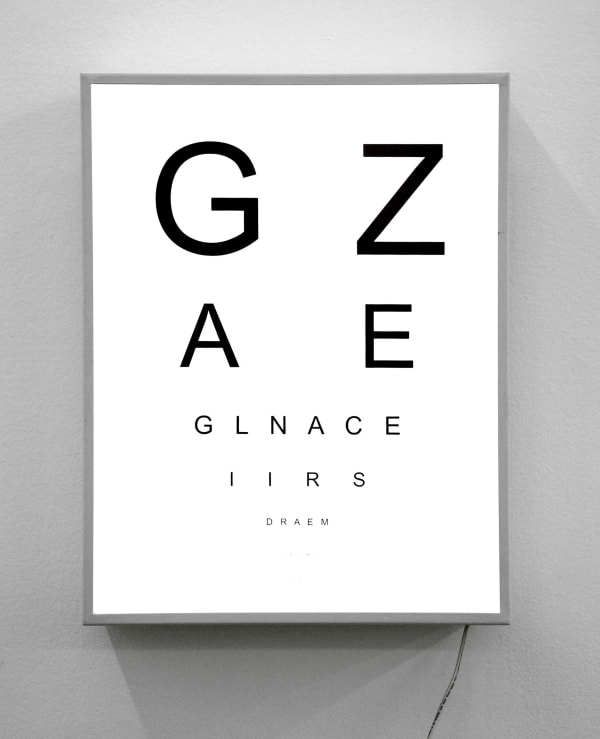 Shilpa Gupta, Eye Test