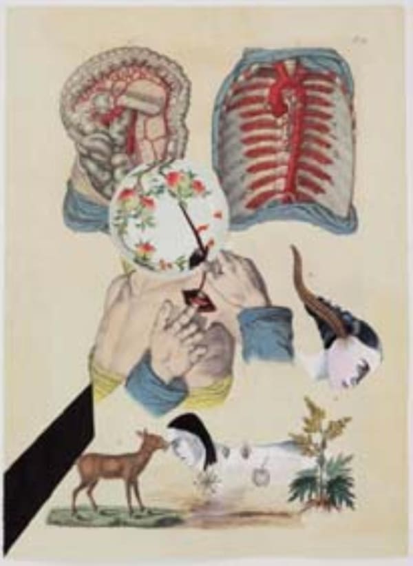 Anju Dodiya, Peach Blossoms, 2014