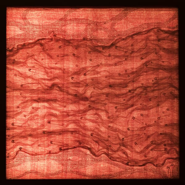 Rakhi Peswani, Sensation Samplers