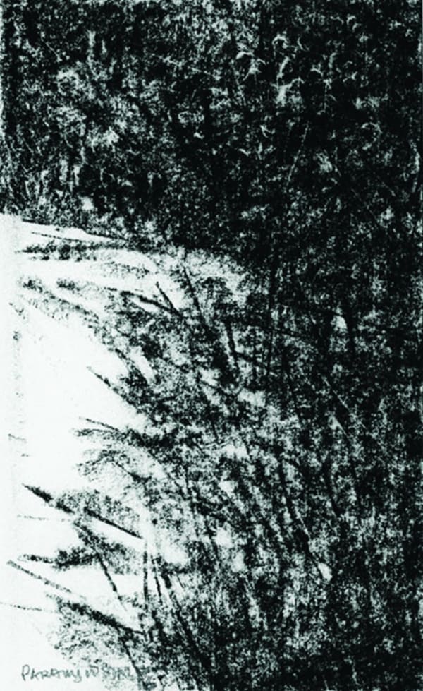 Paramjit Singh, Untitled, 2016