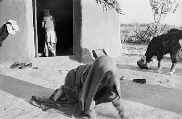 Gauri Gill, Jannat# 03 (Edition:1/7 + 2AP), 907