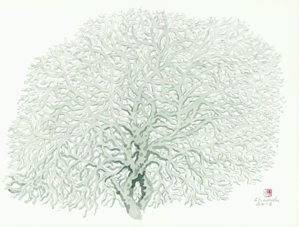 Chameli Ramachandran, Untitled, 2016