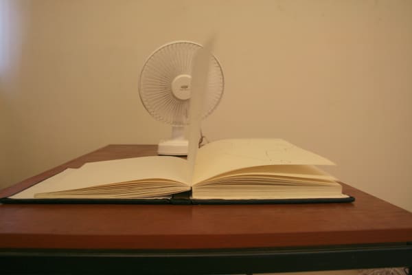 Shilpa Gupta, 100 Hand-drawn Maps of India , 2007–08