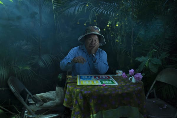 Sharbendu De, David Yobin and his duck play Ludo in the forest a game of random chance, 2013