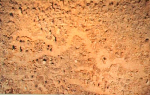 Vivan Sundaram, Shardscape-I