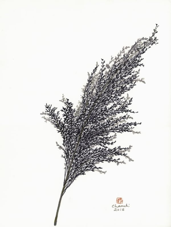 Chameli Ramachandran, Untitled, 2016