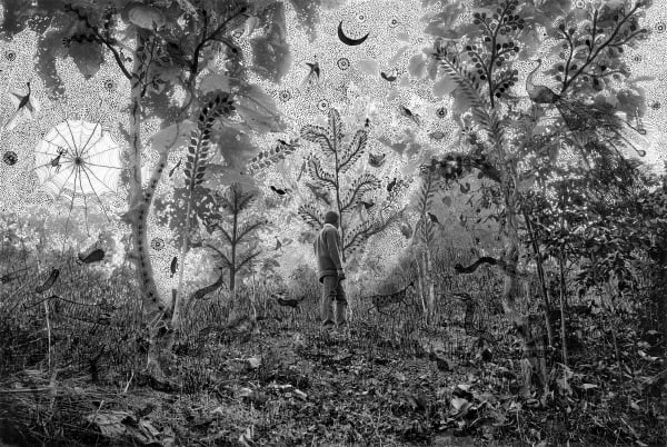 Gauri Gill, Gauri Gill and Rajesh Vangad, 'Moonlight in the Forest', 2014, from the series 'Fields of Sight', 2013 - ongoing