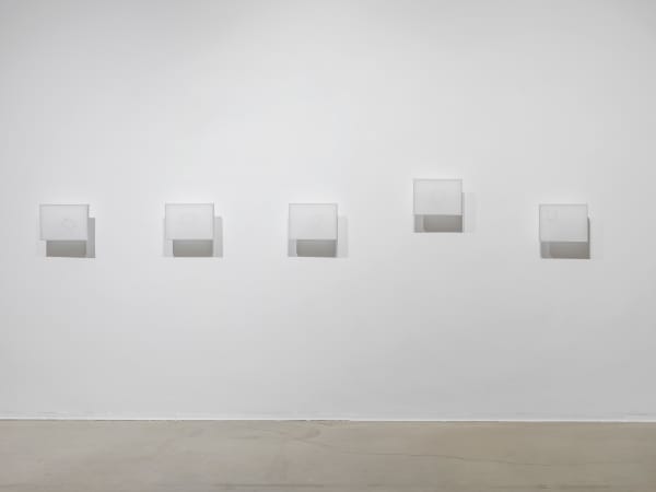 Shilpa Gupta, A gardener in a quilted jacket, like a thrush , 2018