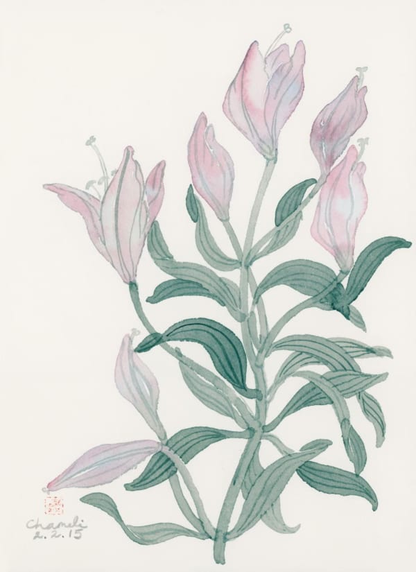 Chameli Ramachandran, Untitled, 2015