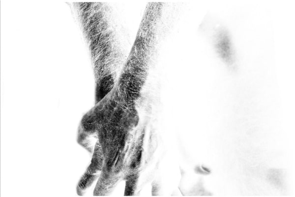 Rameshwar Broota, Edition :3/20, 2007