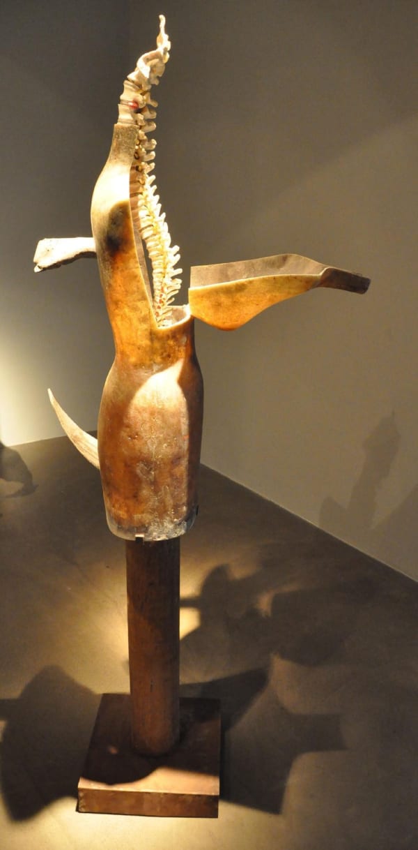 Vivan Sundaram, Spine, 2013