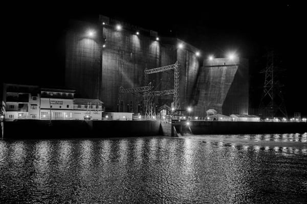 Vicky Roy, Untitled, 2014