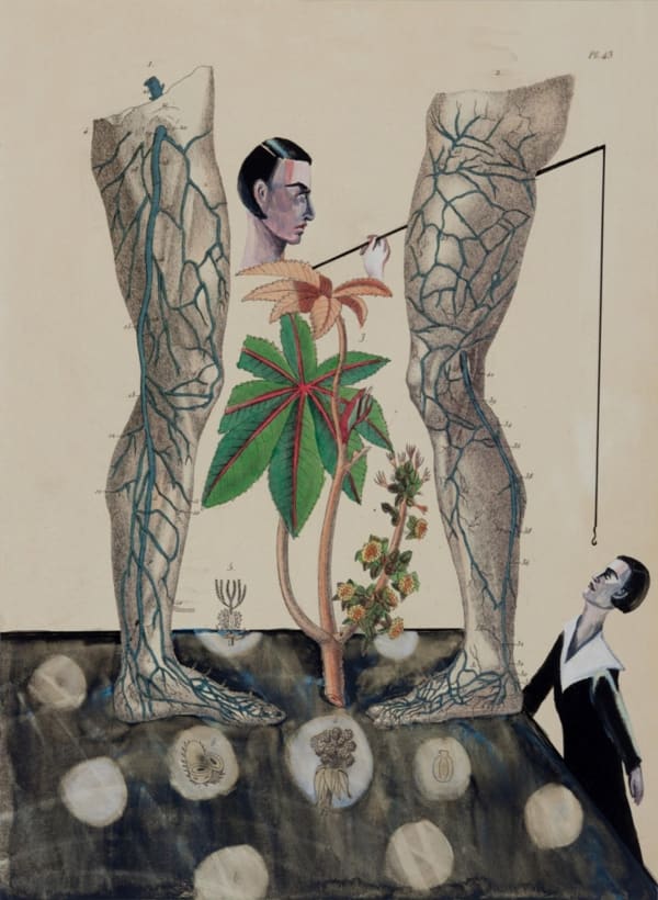 Anju Dodiya, Fisherwoman's Web, 2014