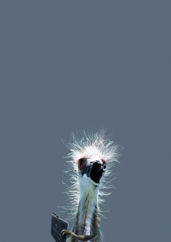 Moonis Shah, The Birds are Coming, 2017