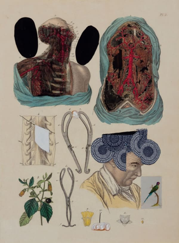 Anju Dodiya, The Measure of Pearls, 2014