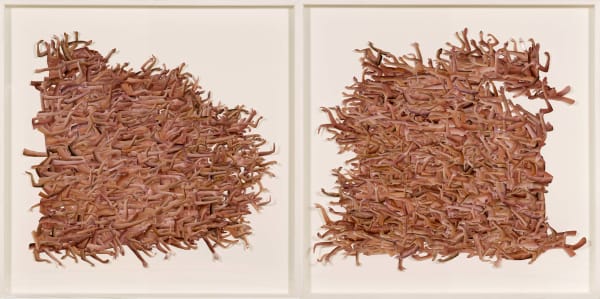 Hema Upadhyay, The Discussion (Diptych), 2013