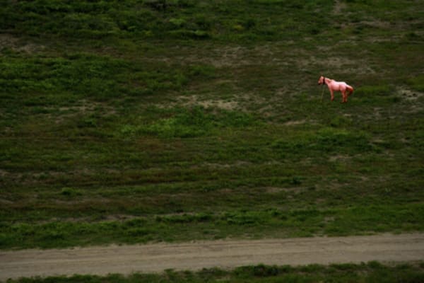 Rameshwar Broota, Untitled - 7 (Edition - 7/9), 2007