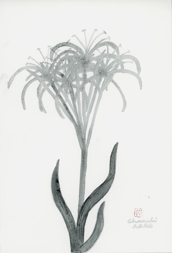 Chameli Ramachandran, Untitled, 2020