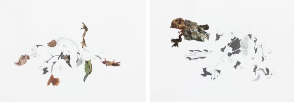 Apnavi Makanji, Drawing Breath LXXII, 2019
