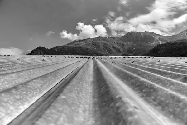 Vicky Roy, Untitled, 2012