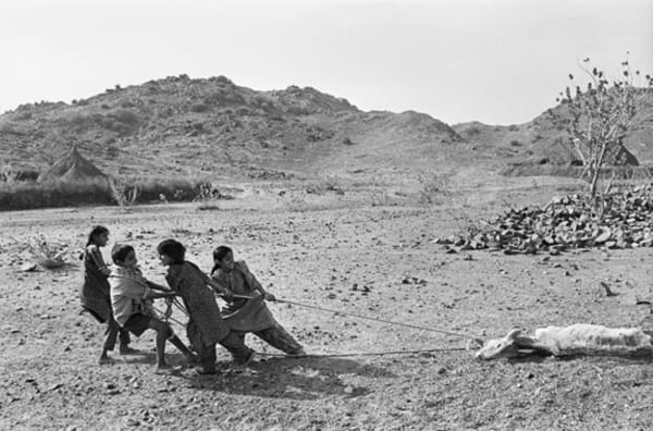 Gauri Gill, Jannat# 26 (Edition:1/7 + 2AP), 9907