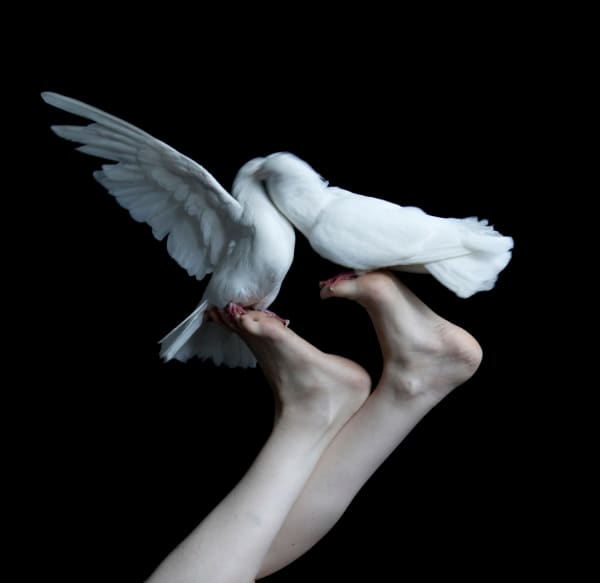 Juul Kraijer, Untitled photograph, 2016-2019