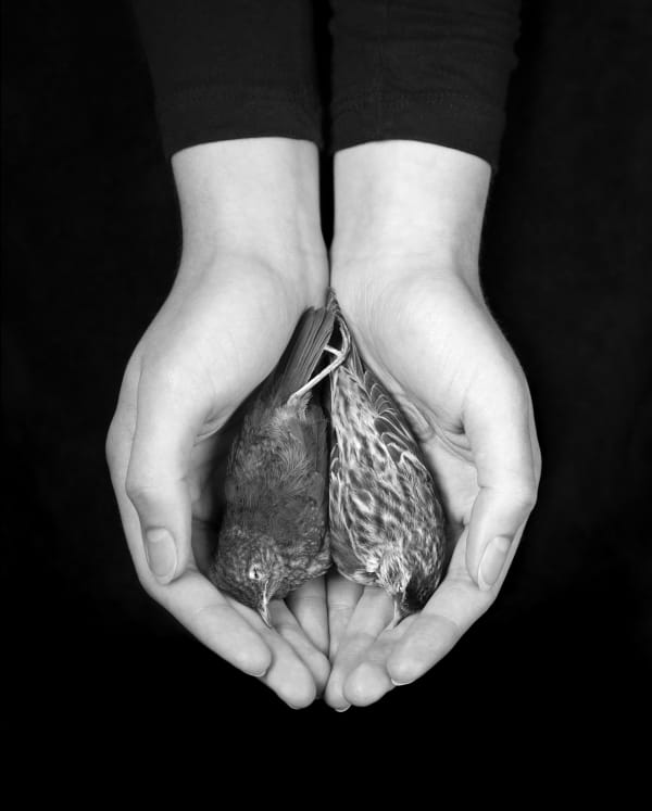 Juul Kraijer, Untitled photograph, 2022