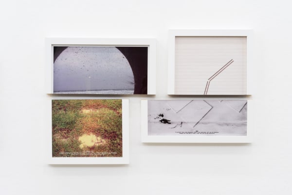 Shilpa Gupta, Untitled - I, 2012 - 2014