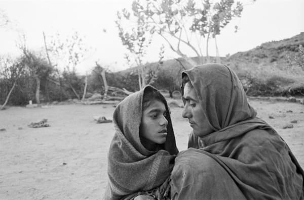 Gauri Gill, Jannat# 08 (Edition:1/7 + 2AP), 9907