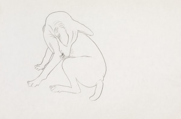 Manjit Bawa, Untitled