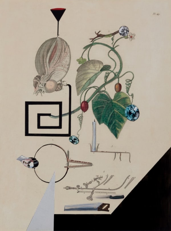 Anju Dodiya, Gem Garden, 2014