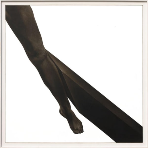 Rameshwar Broota, Proximity, 2008