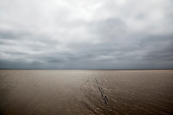 Atul Bhalla, Inundation -III, 2012