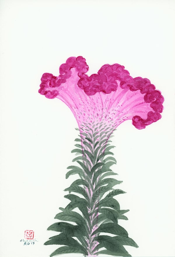 Chameli Ramachandran, Untitled, 2017