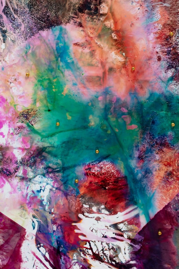 Mariah Robertson, 2015_098-07, 2024