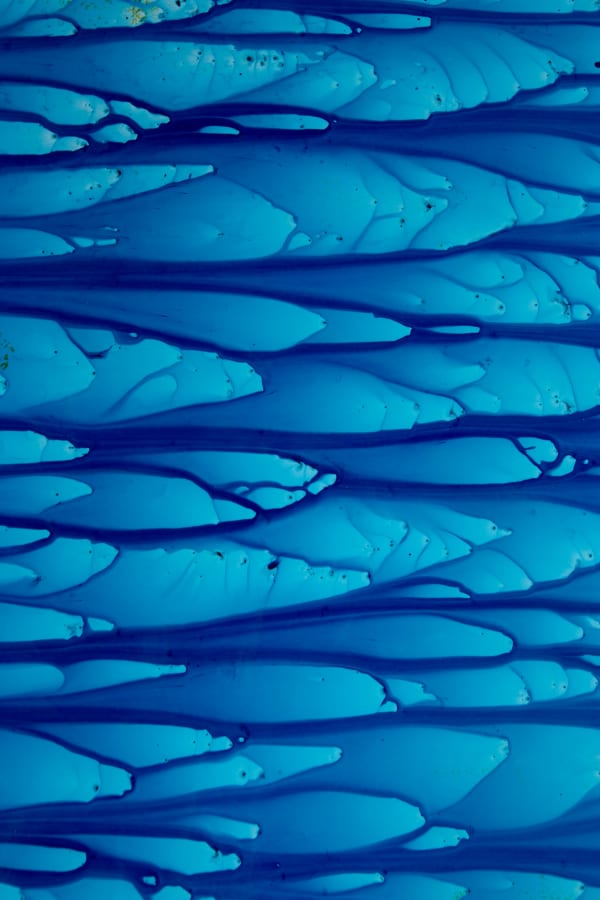 Mariah Robertson, 2014_039-01, 2024