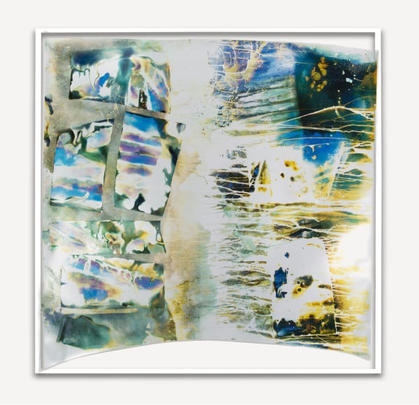 Mariah Robertson, 299, 2016