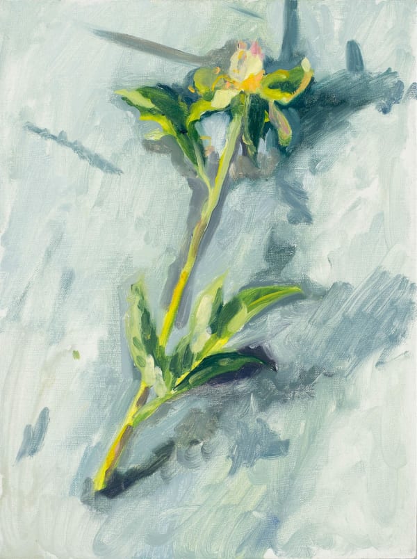 Hank Ehrenfried, Peony 3, 2023