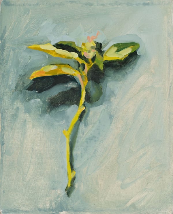 Hank Ehrenfried, Peony 2 , 2023