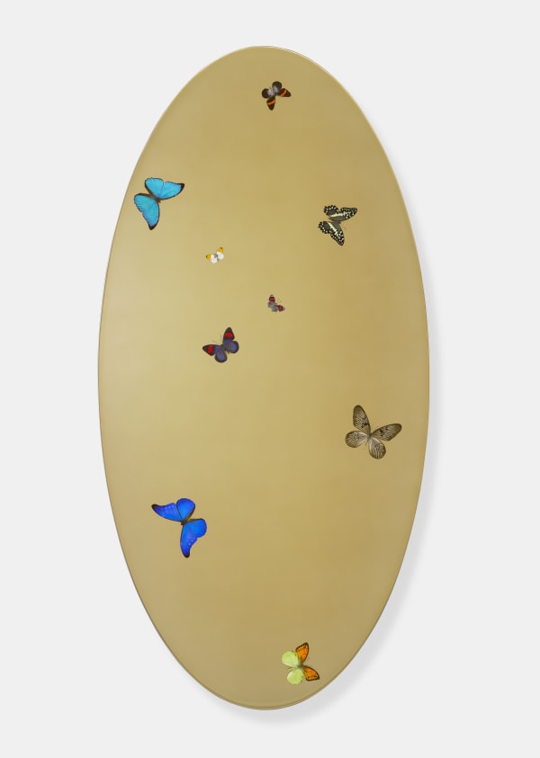 Damien Hirst, Midas Void, 2008