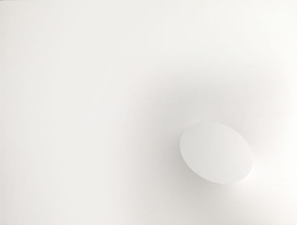 Turi Simeti, Un ovale bianco, 2012