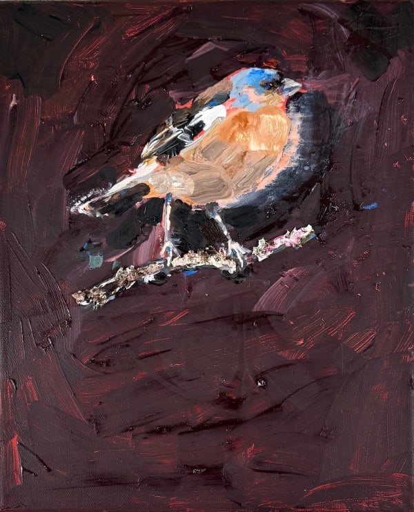 Frances Gynn RWA, Chaffinch, 2025