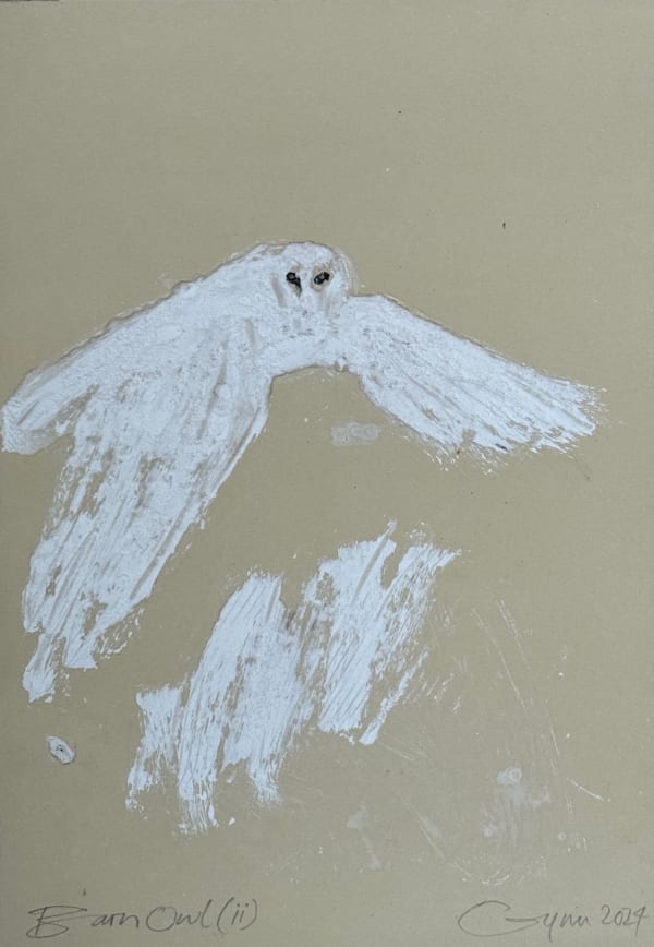Frances Gynn RWA, Barn Owl (II), 2024