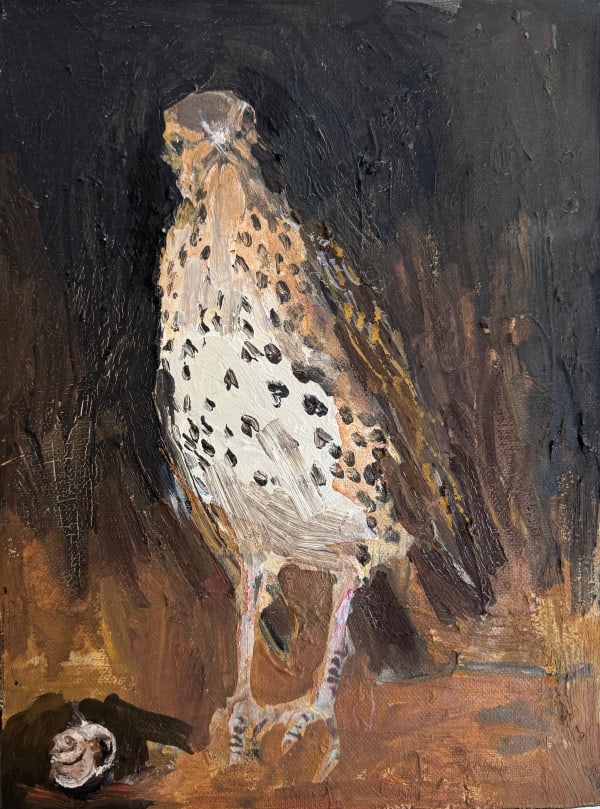 Frances Gynn RWA, Thrush I, 2025