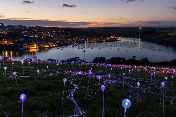 Bruce Munro, Field of Light - Salcombe, 2024