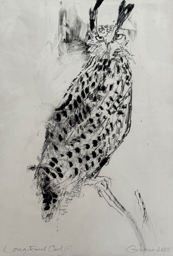 Frances Gynn RWA, Long-Eared Owl (I), 2023