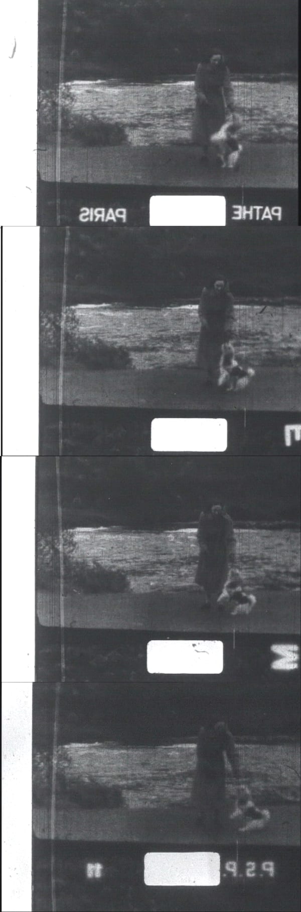 Malcolm Le Grice, Little Dog 2 (Film Still), 2024